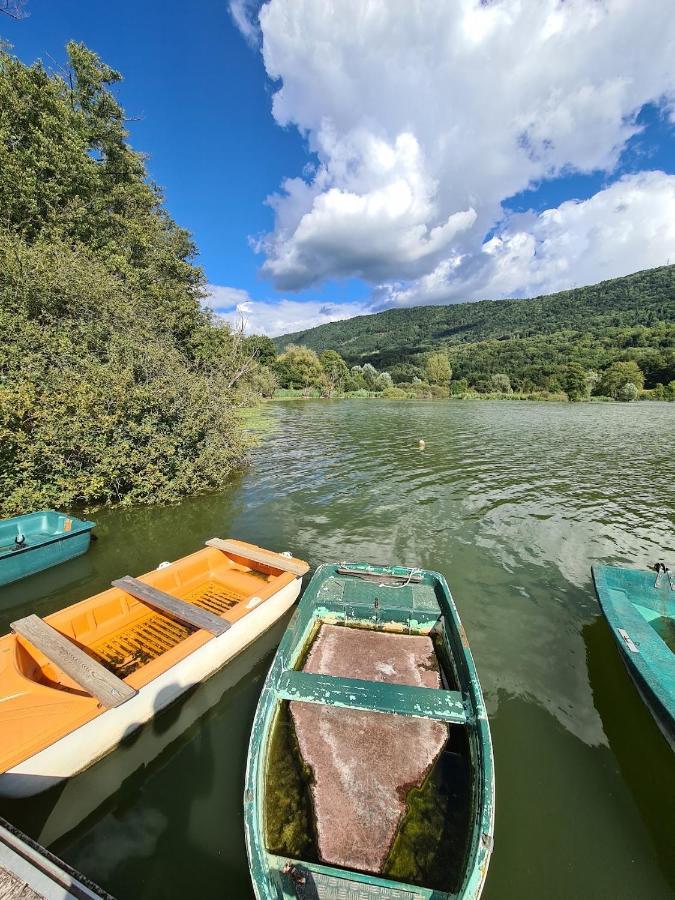 Le Lodge Du Pichat Sainte-Helene-du-Lac Екстер'єр фото